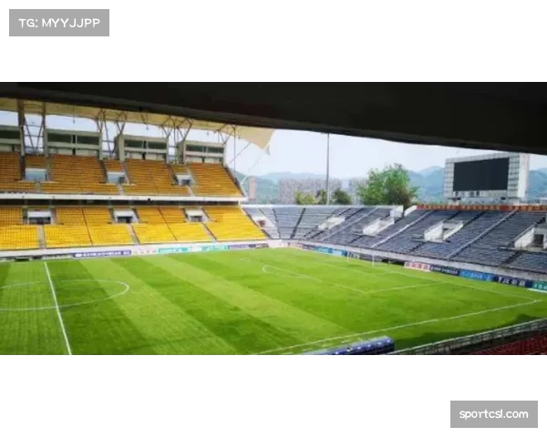 成都凤凰山专业足球场获评“年度最佳观赛体验场地”